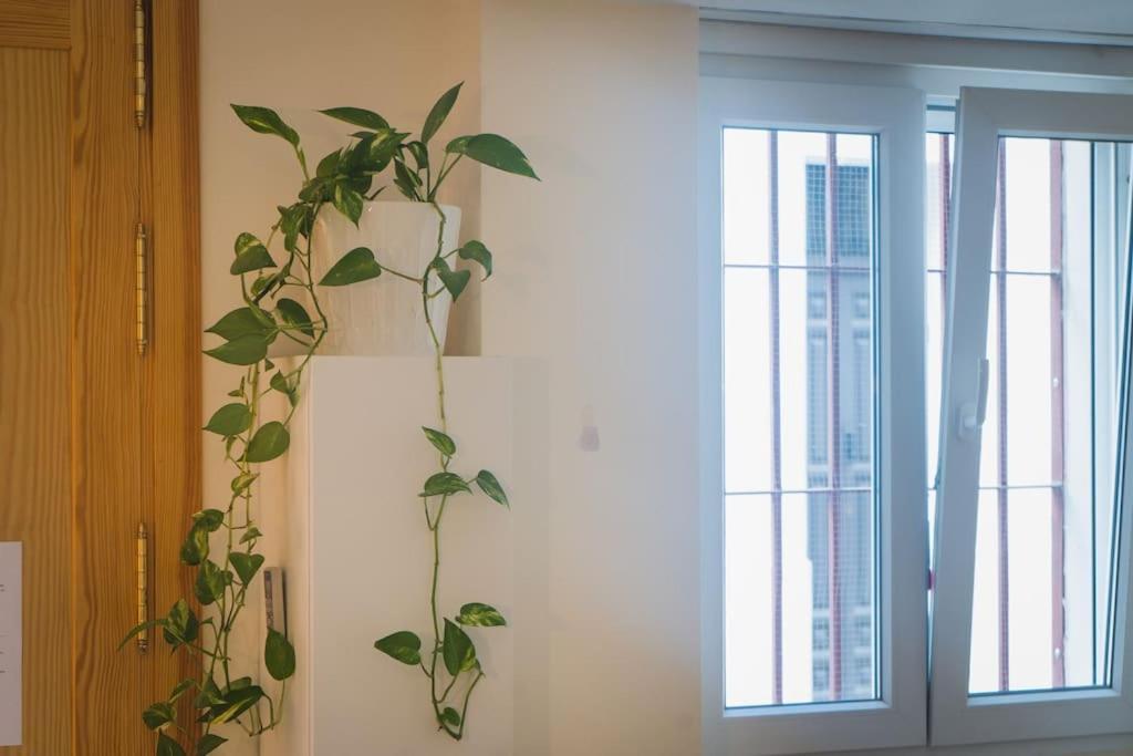 Estudio A Estrenar En Sta Clara *